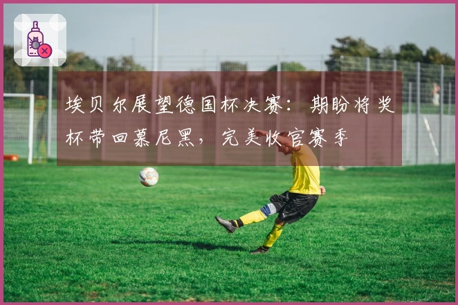 埃贝尔展望德国杯决赛:期盼将奖杯带回慕尼黑,完美收官赛季