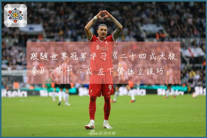 跟随世界冠军学习《二十四式太极拳》-第十六式 左下势独立技巧