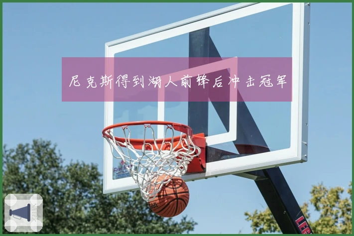 尼克斯得到湖人前锋后冲击冠军