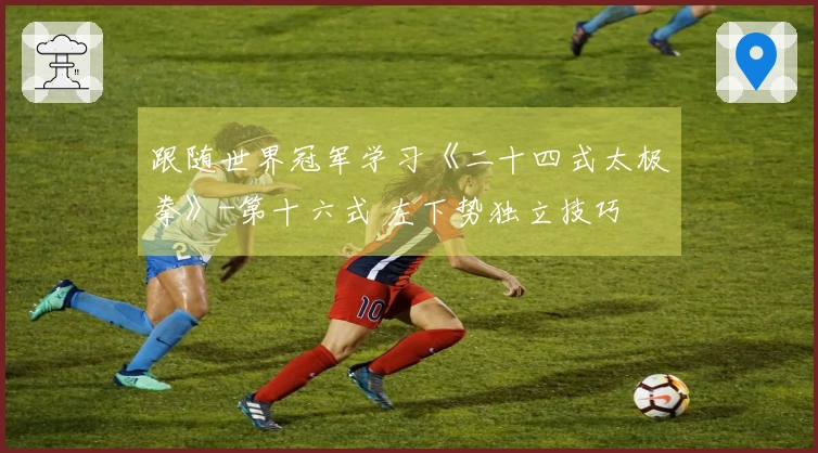 跟随世界冠军学习《二十四式太极拳》-第十六式 左下势独立技巧